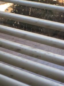 cleaning mouldy venetian blinds