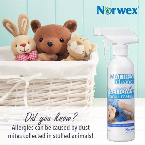 mattress cleaner and soft toys